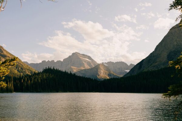 hans-EX3Mo3kFivc-unsplash hans-EX3Mo3kFivc-unsplash